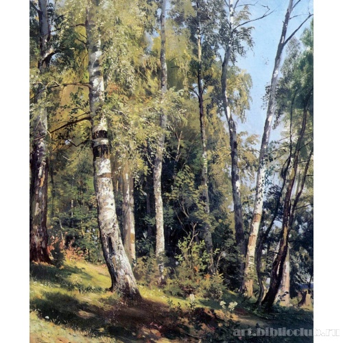 Березовая роща