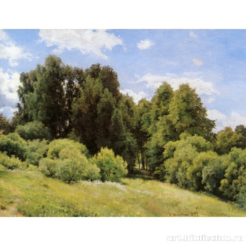 Лесная поляна (Полянка)