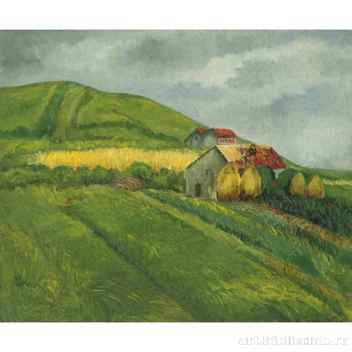 Поля. Юг Франции