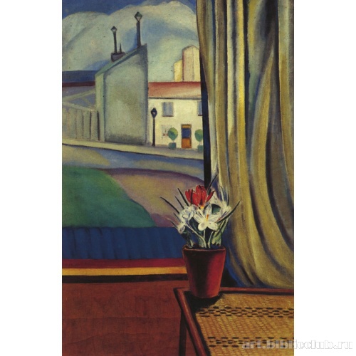 Цветок у окна