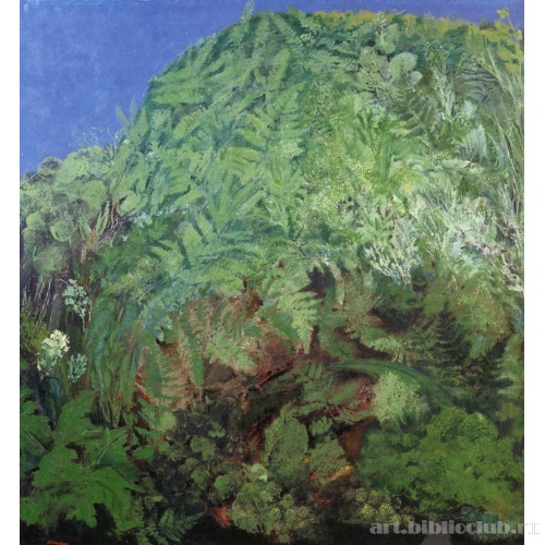 Папортники под Москвой. Из цикла «Фактура и цвет»