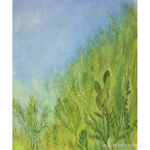 Небо и травы. Из серии «Травы»
