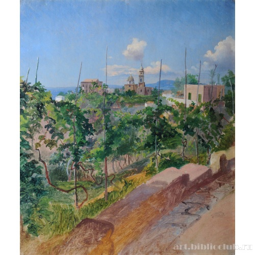 Виноградник в Вико