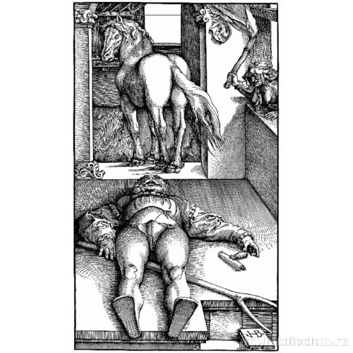 Околдованный конюх [Смерть рыцаря Рехенбергера]