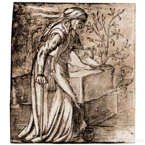 Старуха с совой