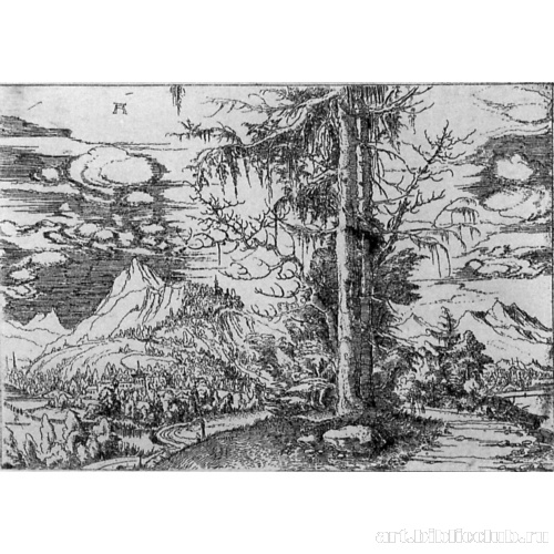 Пейзаж со сдвоенной елью