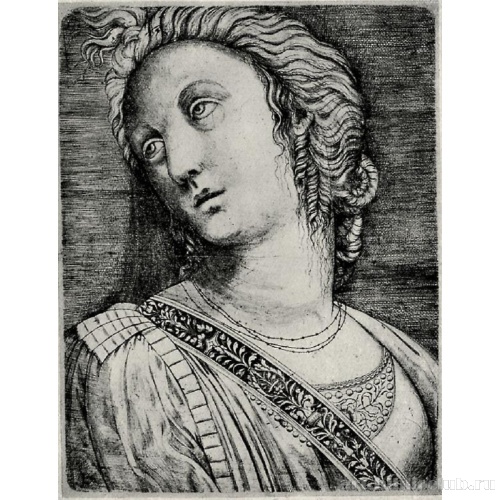 Женская полуфигура