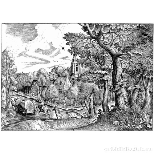 Селенье в лесу