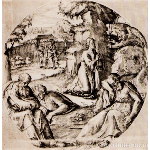 Христос на горе Елеонской (Моление о чаше)