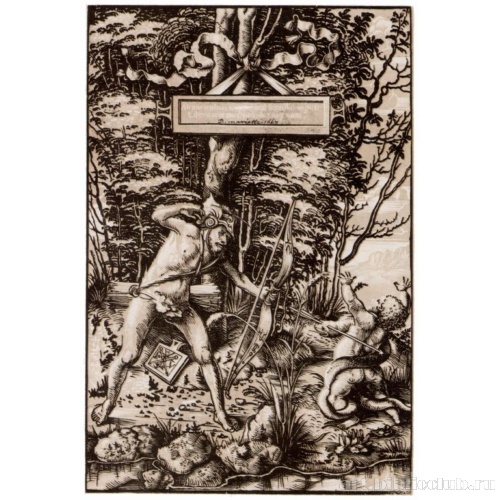 Алькон освобождает своего сына