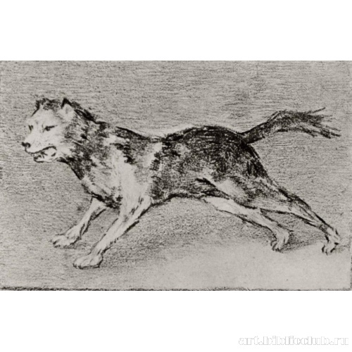 Лающая собака