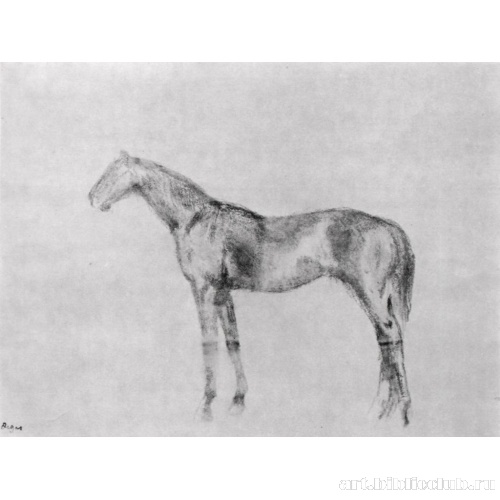 Конь в профиль