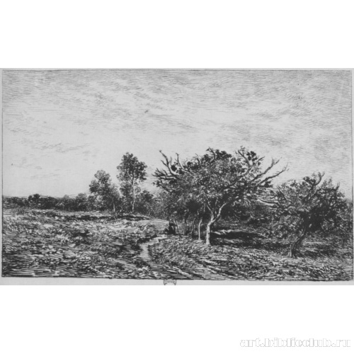 Яблони в Овере