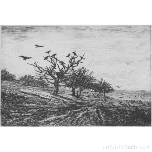 Дерево с воронами