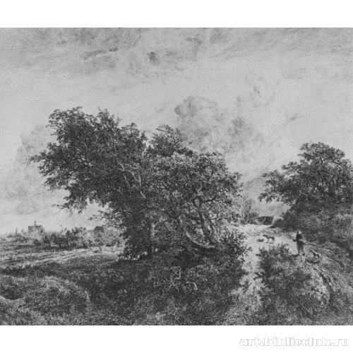 Кустарник (с Я. Рейсдала)