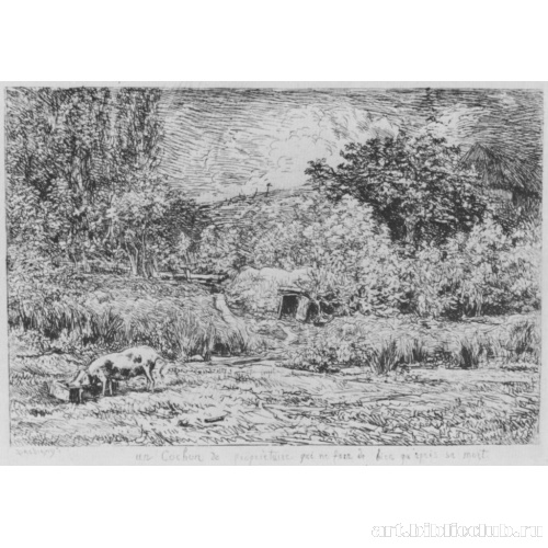 Свинья во фруктовом саду