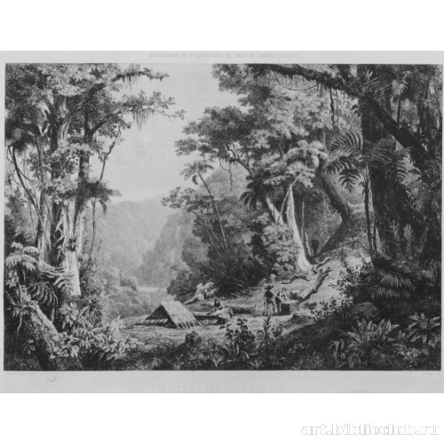 Долина Сан Хуан дель Оро