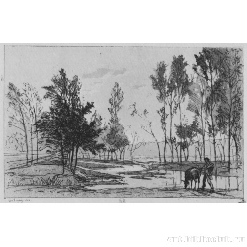 Осел на водопое