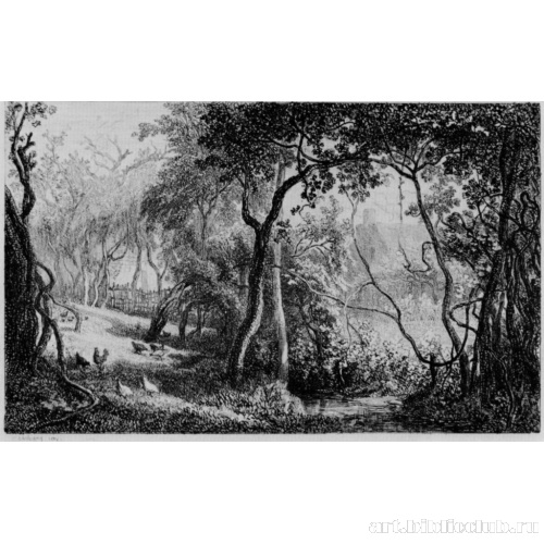 Фруктовый сад в Вальмондуа