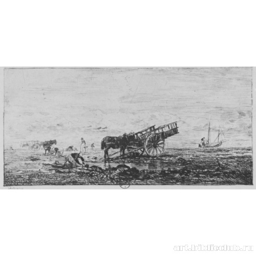 Побережье в Вийервилле