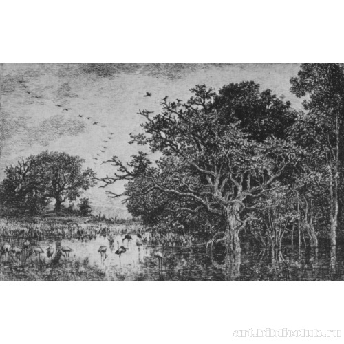 Болото с аистами (с Я. Ван Рейсдала)