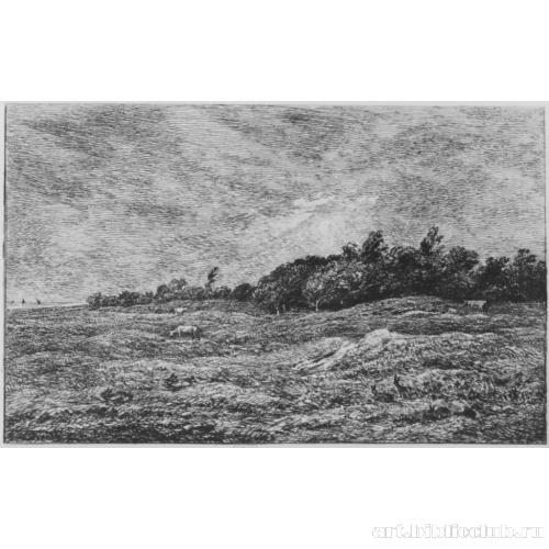 Изборожденный луг под Вийервиллем (Кальвадос)