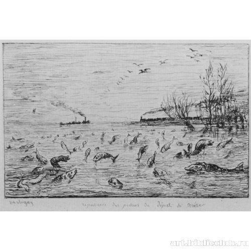 Радость рыб по поводу отплытия юного рыбака (Рыбы)