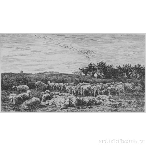 Большой загон для овец