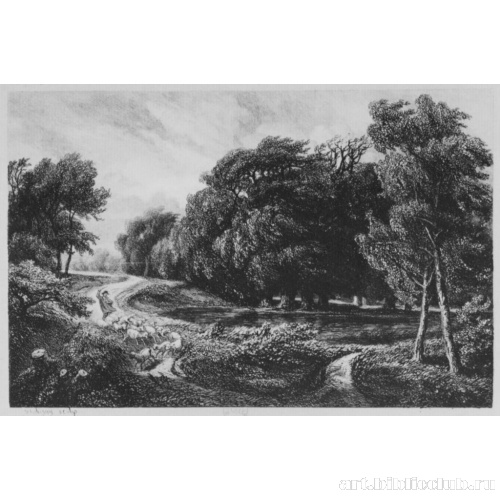 Налетевшая гроза