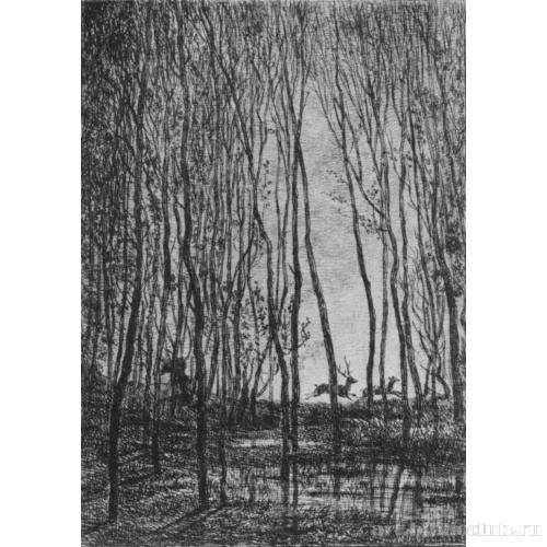 Олени в лесу