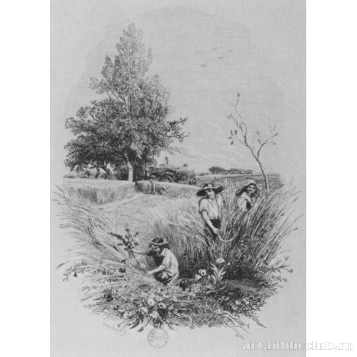 Иллюстрация к «Басням» Пьера Лашамбоди: Дитя и цветы