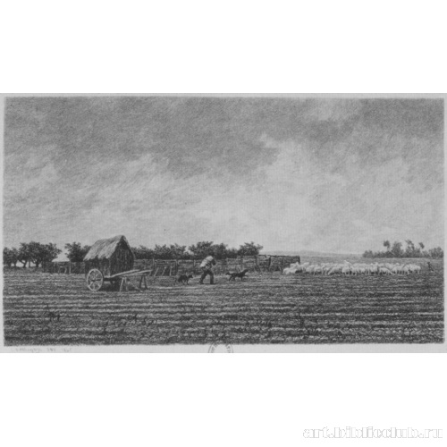 Малый загон для овец