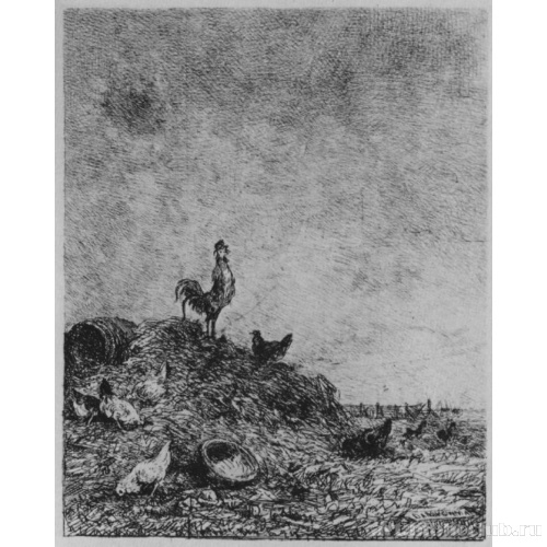 Восход солнца (Песнь петуха)