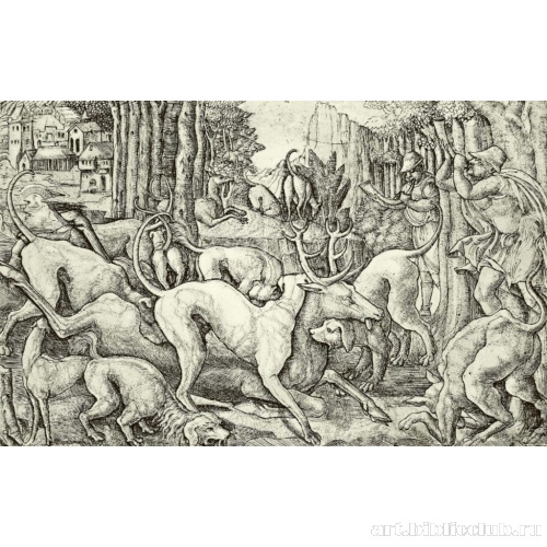 Охота на оленя