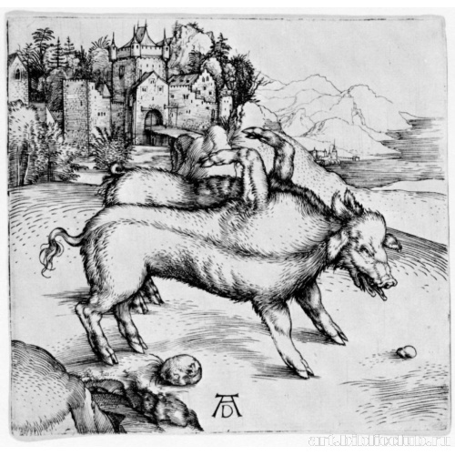 Поросенок-уродец из Ландсера