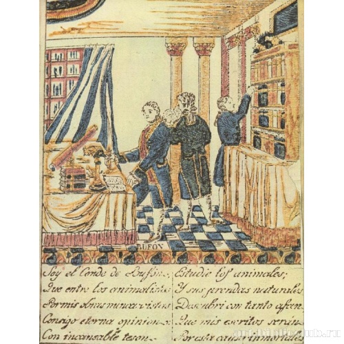 Граф Бюффон, дидактическое изображение