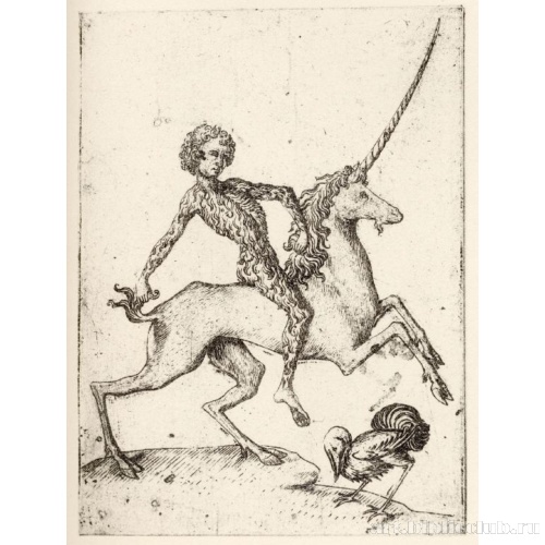 Большая игральная карта, Младшая птица