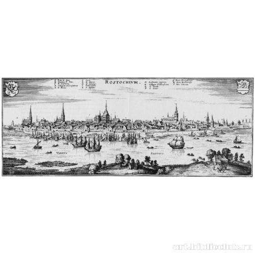 Росток, вид с севера