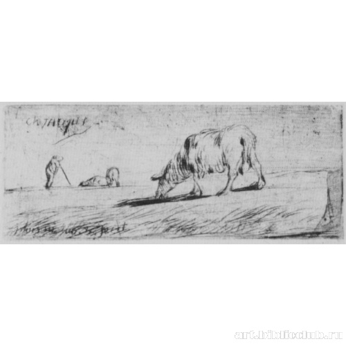 Пасущиеся овцы