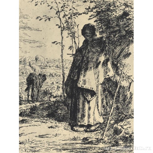 Большая пастушка