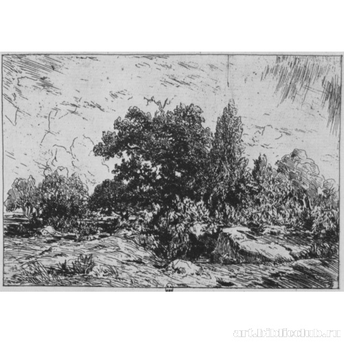 Вид на плато Беллекруа