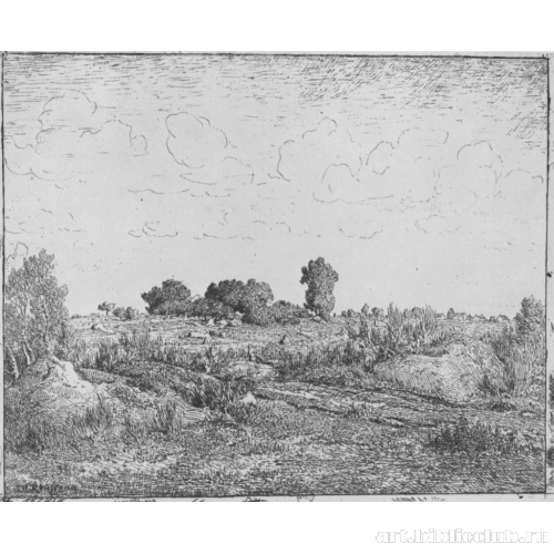 Вишневое дерево на равнине Бьо