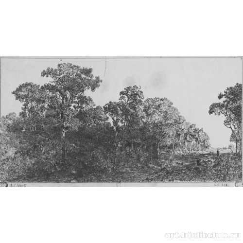 Просека в Клербуа