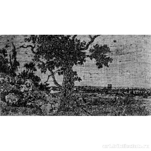 Пейзаж со старым дубом и видом в даль