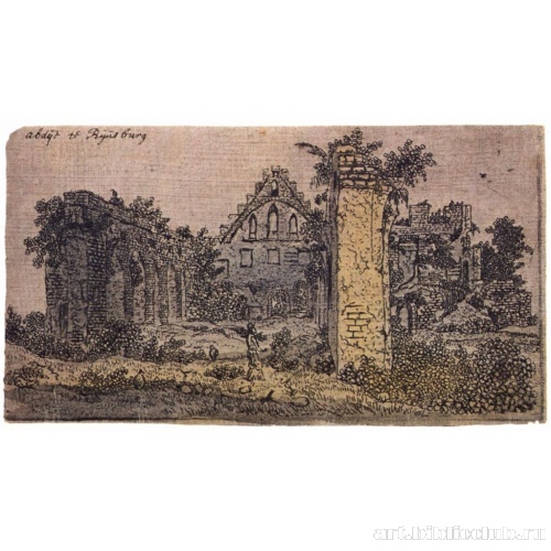 Руины монастыря Рейнсбург