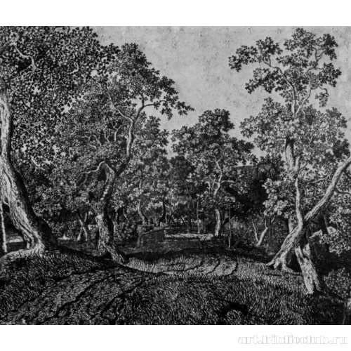 Деревенская улица с деревьями и зданиями