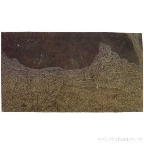 Скалистый пейзаж с деревом