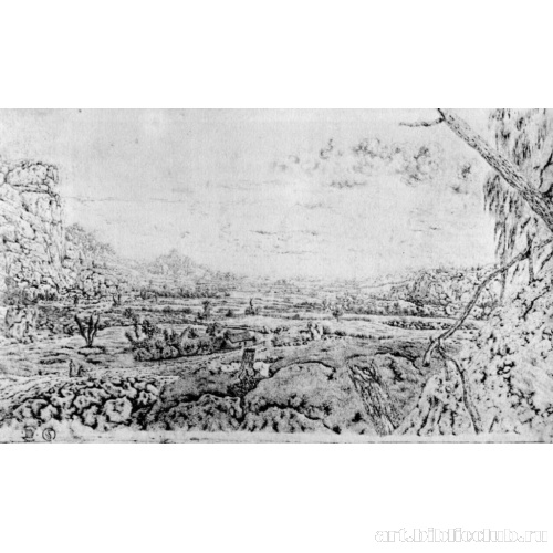 Горная долина с отгороженным полем