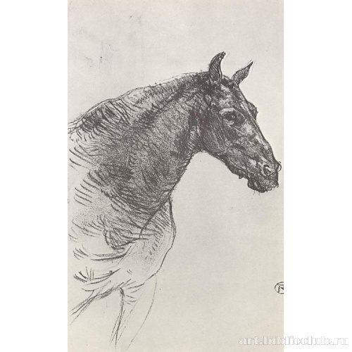 Старая лошадь