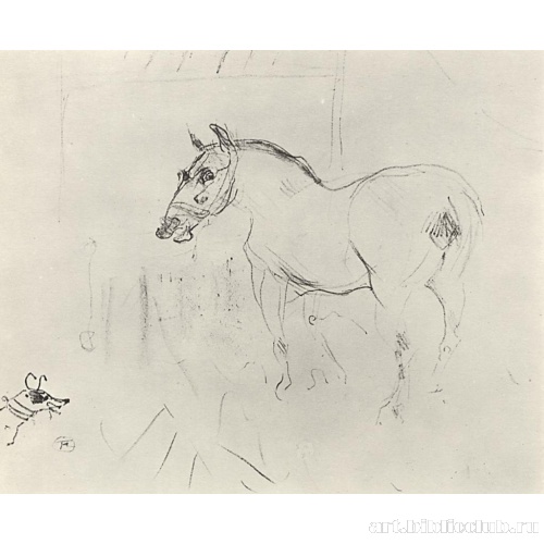 Маленький пони и собака